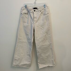 Kut from the Kloth Meg Ab Fab 14